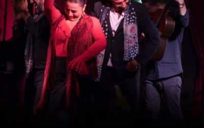 Zambombas Flamencas : la tradition de Noël en Andalousie