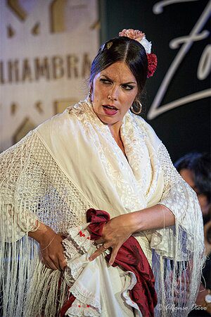 Bailaora de Flamenco - Cristina Aguilera