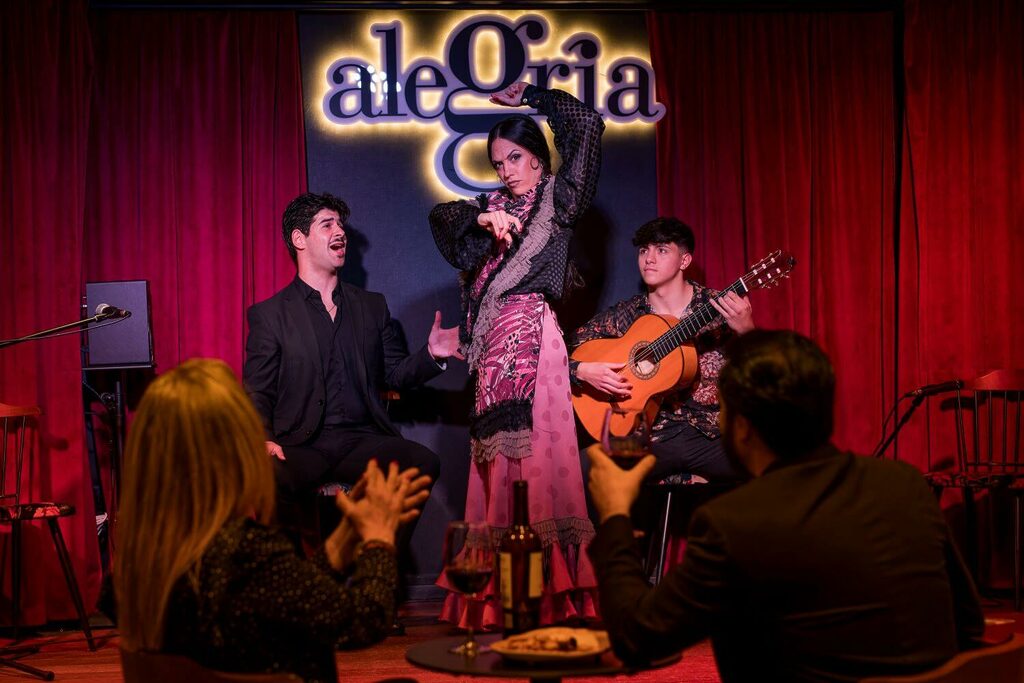 Teatro con espectáculo Flamenco