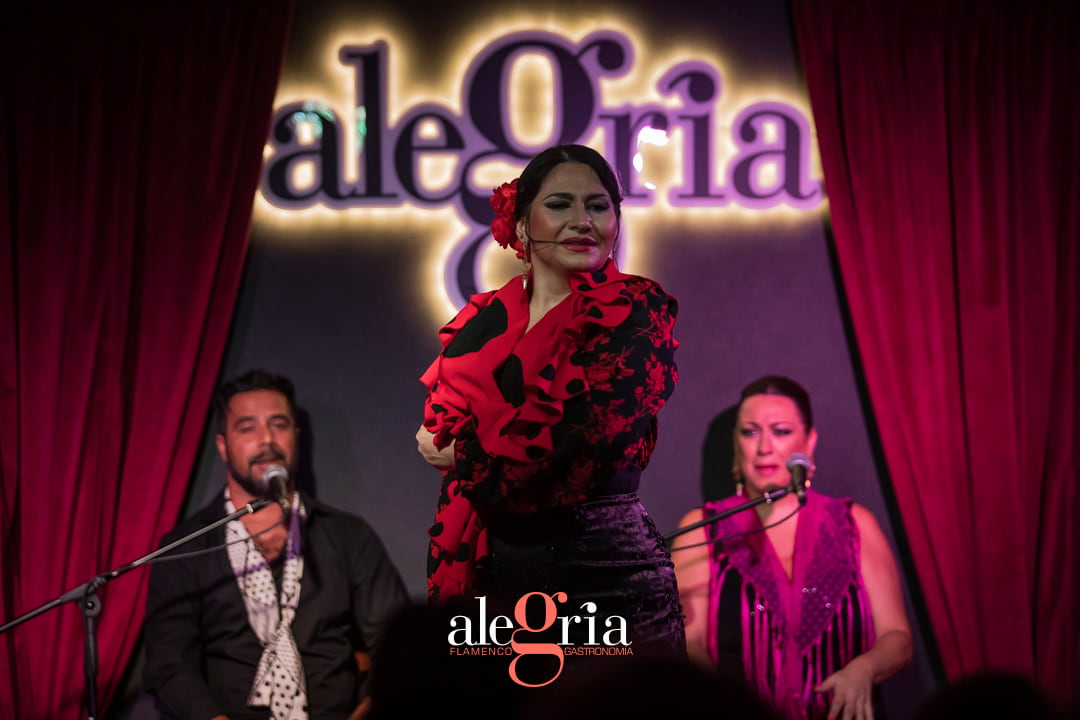 Tablao Flamenco Alegria de frente cantando