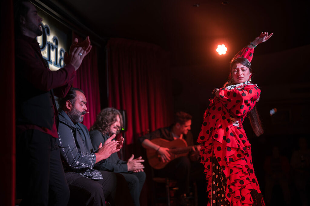 dónde ver flamenco en Málaga
